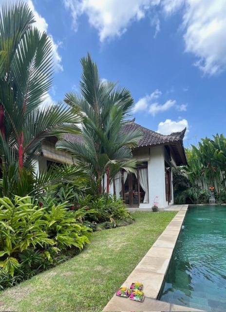 Villa Exotica Убуд Экстерьер фото